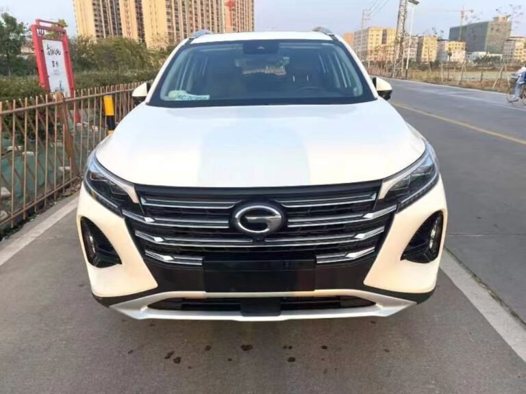 Подержанный GAC GS4 2021 270T Auto Technology Indulge Edition